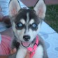 Yo soy Daisy y tengo dos meses de nacida y me gusta posar a la camara
